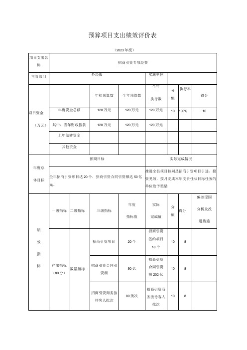 预算项目支出绩效评价表