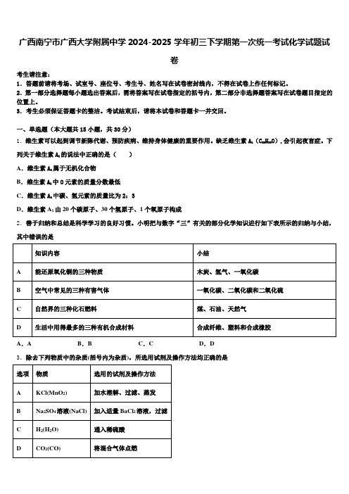 广西南宁市广西大学附属中学2024-2025学年初三下学期第一次统一考试化学试题试卷含解析