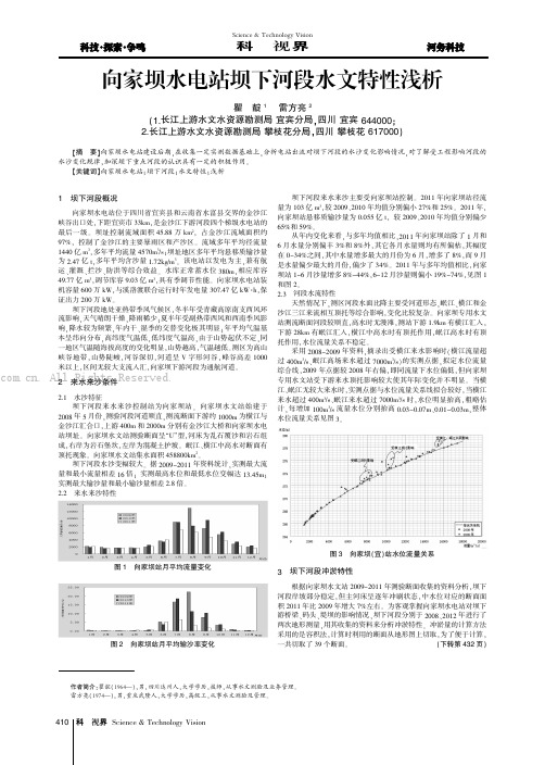 向家坝水电站坝下河段水文特性浅析