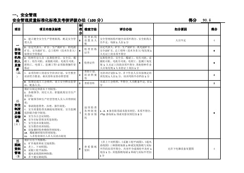 质量标准化总评分表