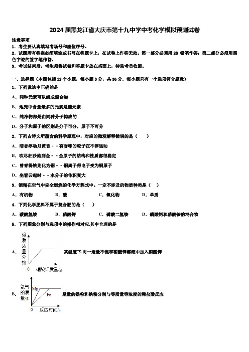 2024届黑龙江省大庆市第十九中学中考化学模拟预测试卷含解析