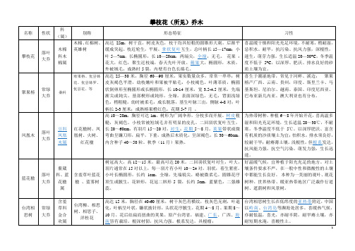 攀枝花乔木