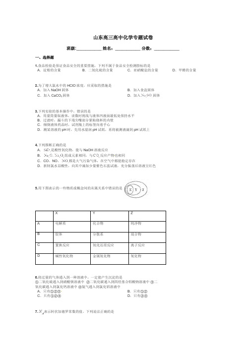 山东高三高中化学专题试卷带答案解析
