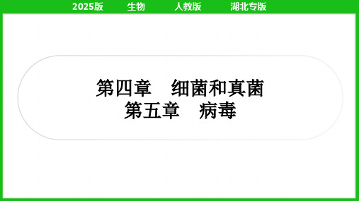 2025人教版中考生物总复习考点精讲八年级上册第五单元生物圈中的其他生物第四章细菌和真菌 第五章病毒