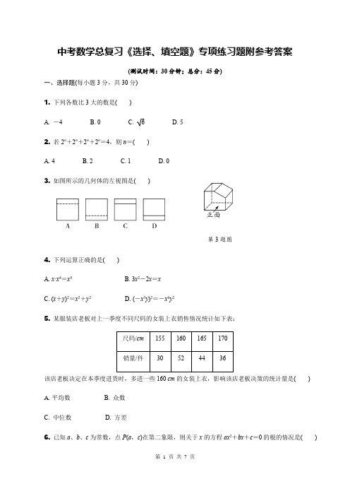 中考数学总复习《选择、填空题》专项练习题附参考答案