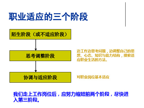 职业适应的三个阶段 PPT课件