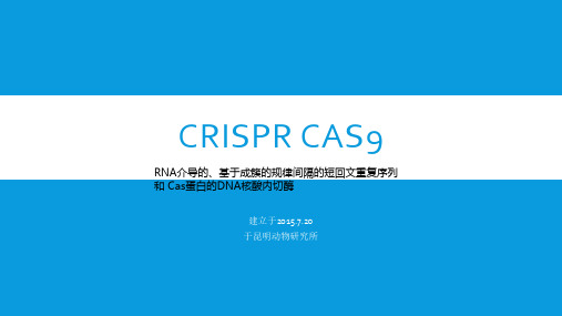 Crispr cas9 笔记