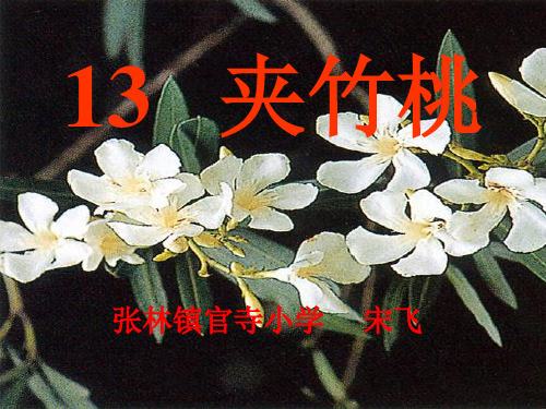 夹竹桃ppt