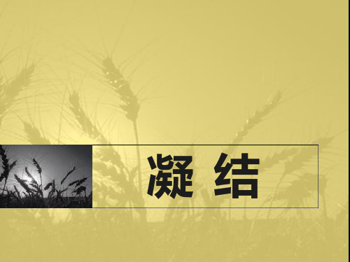 《凝结》ppt演示课件