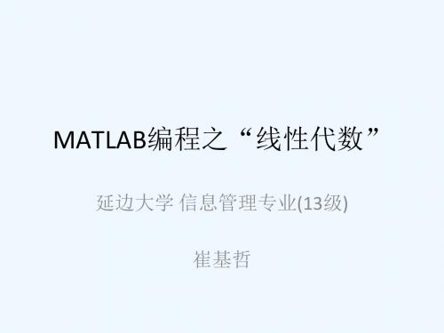 MATLAB编程线性代数