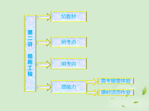 高中生物一轮复习 第二讲 细胞工程课件 新人教版选修3