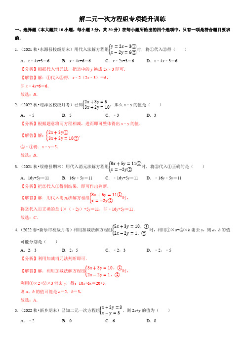 解二元一次方程组专项提升训练 (解析版)