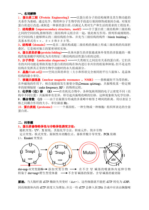 蛋白质工程重点