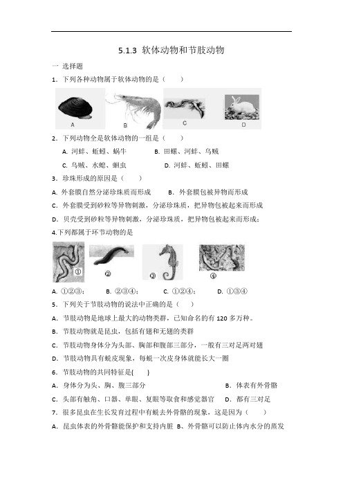 人教版八年级上册生物 5.1.3 软体动物和节肢动物 同步练习 有答案