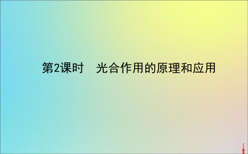 2019_2020学年新教材高中生物5.4.2光合作用的原理和应用课件新人教版必修1