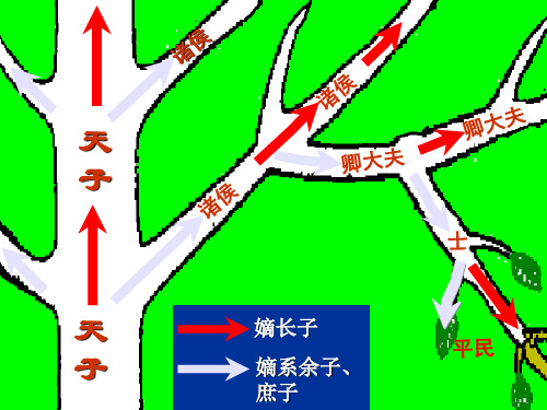 高一历史课件1.1《第一节  中国早期政治制度的特点》128(人民版必修1)