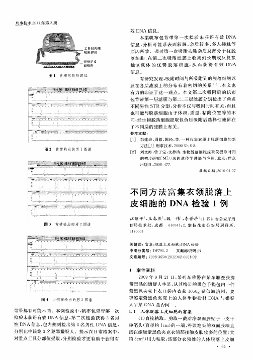 不同方法富集衣领脱落上皮细胞的DNA检验1例