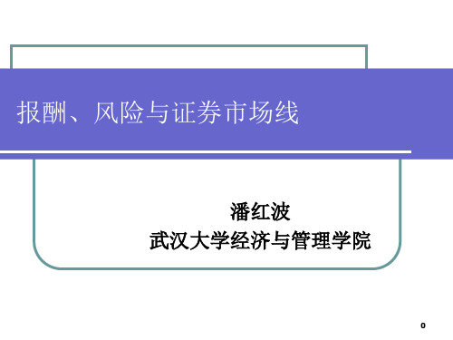 报酬风险证券市场线PPT课件