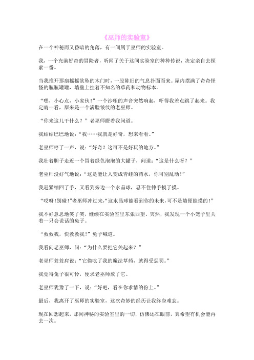 《巫师的实验室》