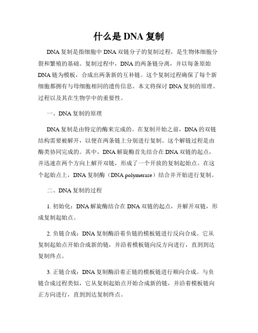 什么是DNA复制