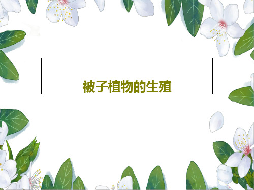 被子植物的生殖16页PPT