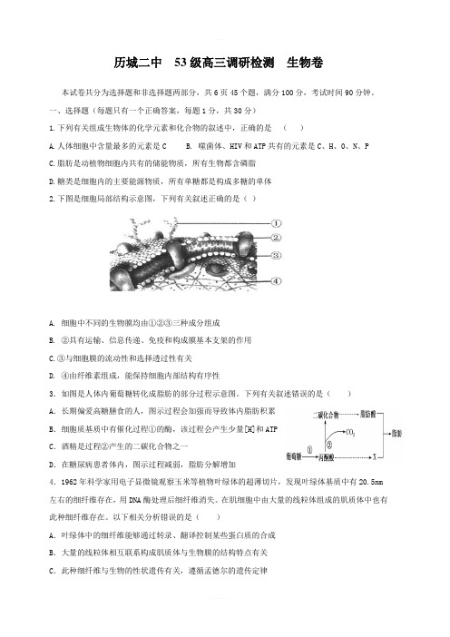 山东省济南市历城第二中学2019届高三11月月考生物试题(含答案)