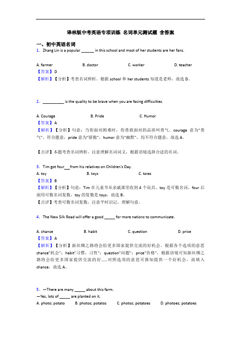 专项训练 名词单元测试题 含答案