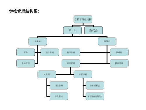 学校组织结构图