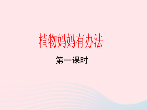 部编人教版二年级语文上册课文13植物妈妈有办法2省名师优质课赛课获奖课件市赛课一等奖课件