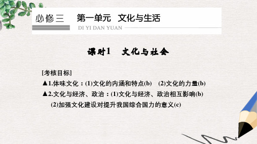 高考政治一轮复习第一单元文化与生活1文化与社会课件新人教版必修3