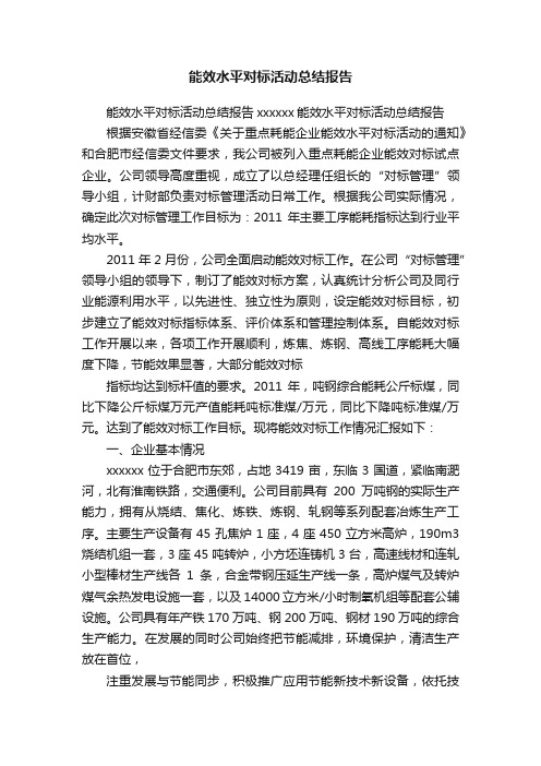 能效水平对标活动总结报告