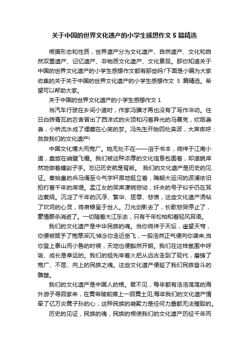 关于中国的世界文化遗产的小学生感想作文5篇精选