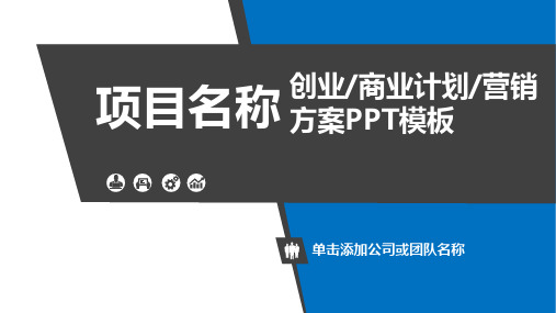 创业项目商业计划营销方案PPT模板