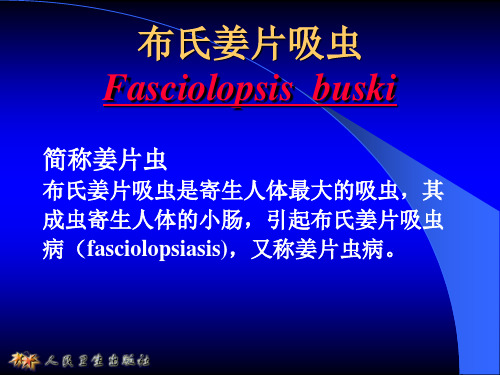 布氏姜片虫
