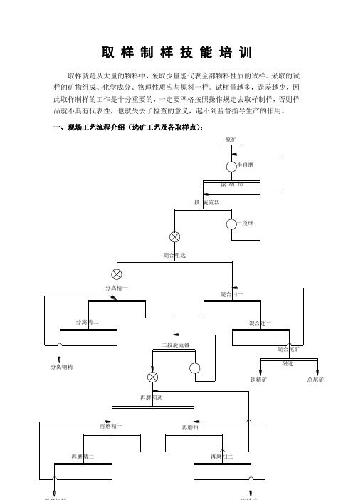 取 样 制 样 技 能 培 训