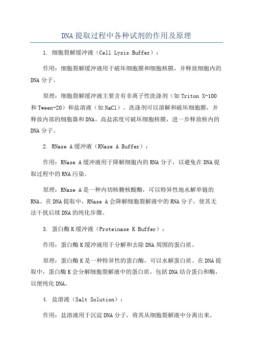 DNA提取过程中各种试剂的作用及原理