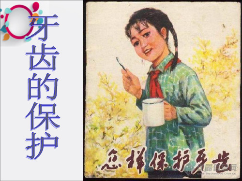 幼儿园健康教育-牙齿的保护-ppt课件