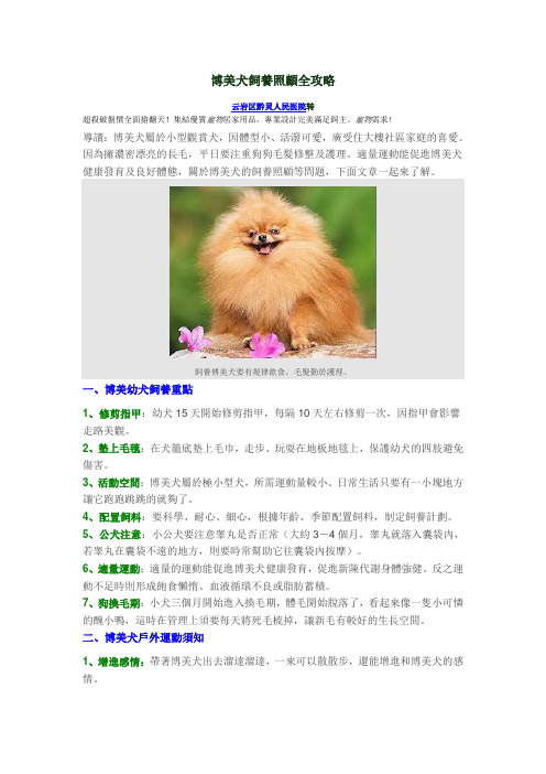 博美犬饲养照顾全攻略