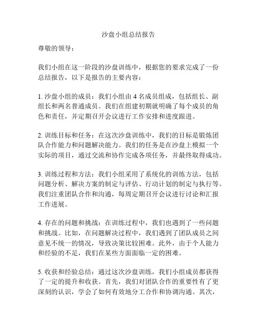 沙盘小组总结报告