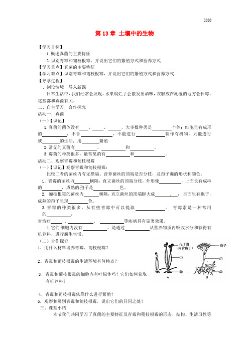 2020七年级生物下册 第13章 土壤中的生物学案4(无答案)(新版)苏科版