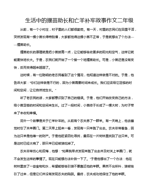 生活中的揠苗助长和亡羊补牢故事作文二年级