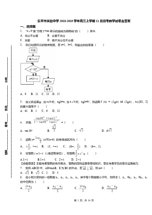 乐平市实验中学2018-2019学年高三上学期11月月考数学试卷含答案