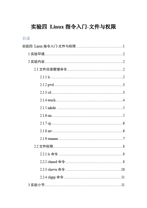 linux实验4_文件与权限