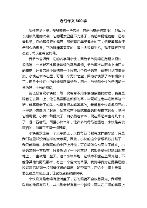 老马作文800字