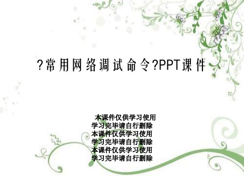 《常用网络调试命令》PPT课件