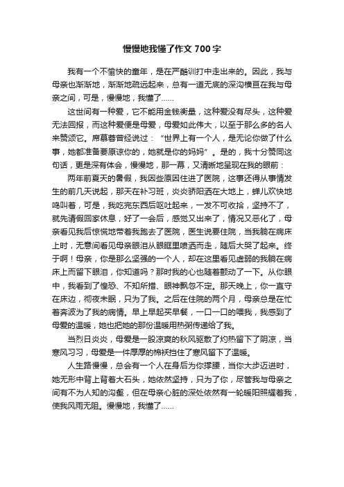 慢慢地我懂了作文700字