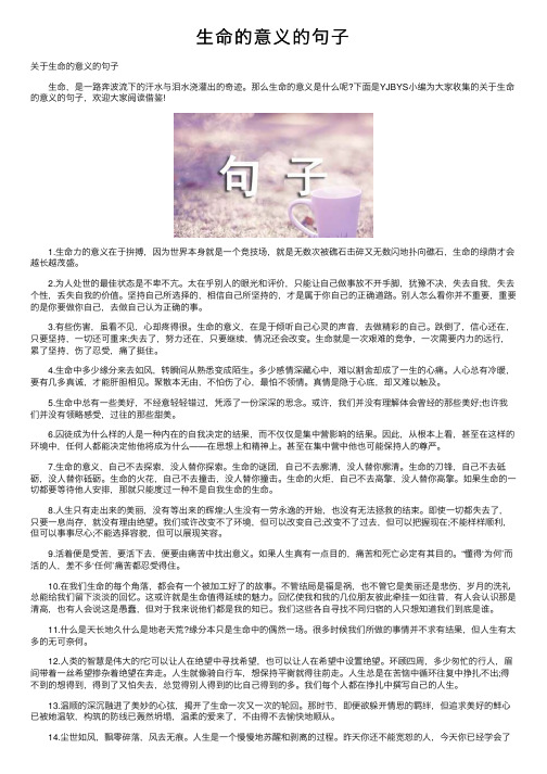 生命的意义的句子