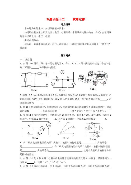 中考物理专题复习试题汇编12 欧姆定律