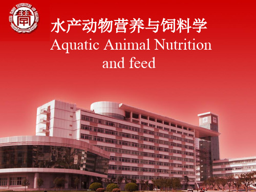 鱼类营养与饲料Fishing Nutrition and Feeding