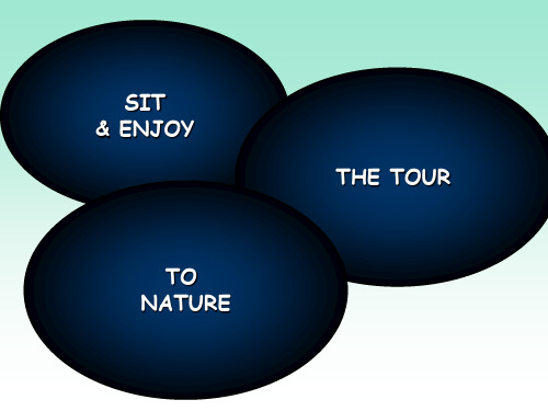 牛津上海英语高三第一学期Unit 3 travel 课件(共40张PPT)